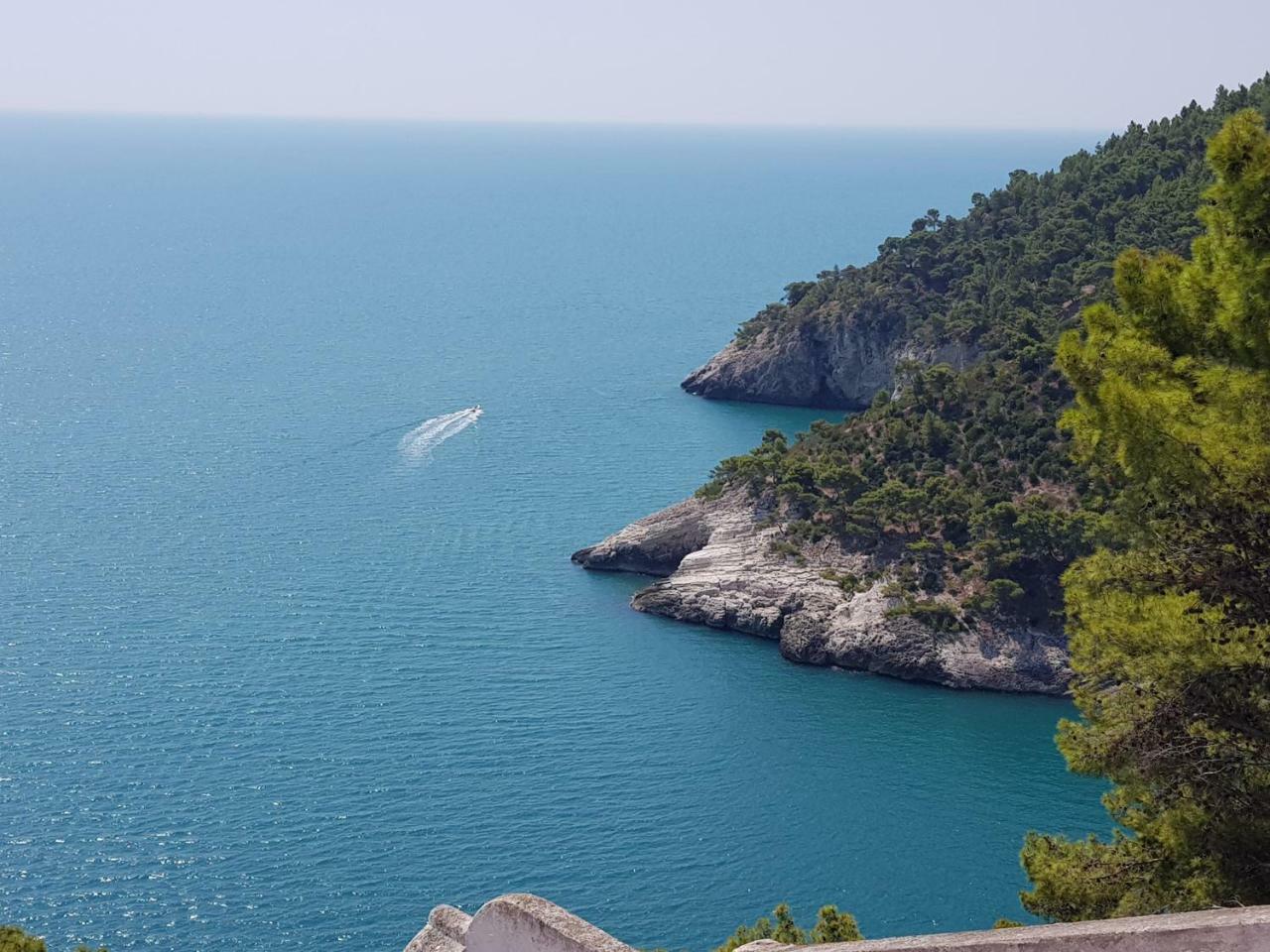 Villa Cala Della Pergola Vieste Exterior foto